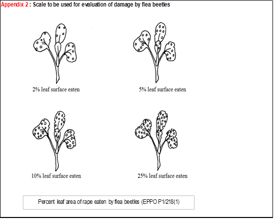 CSFB damage scale